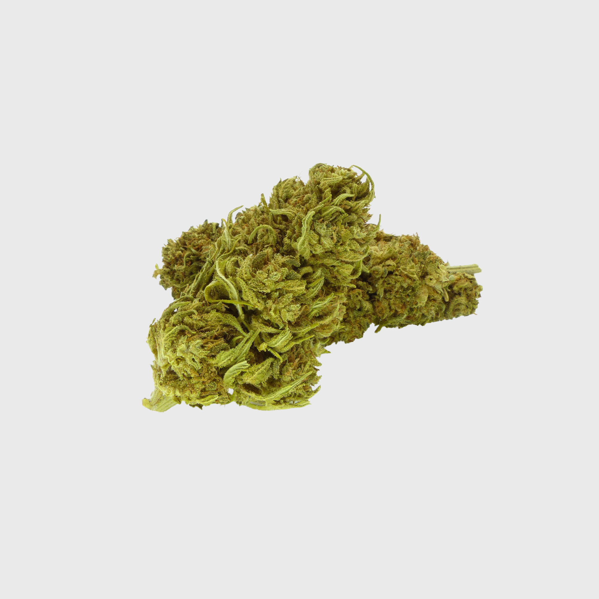 runtz Bud (CBD)