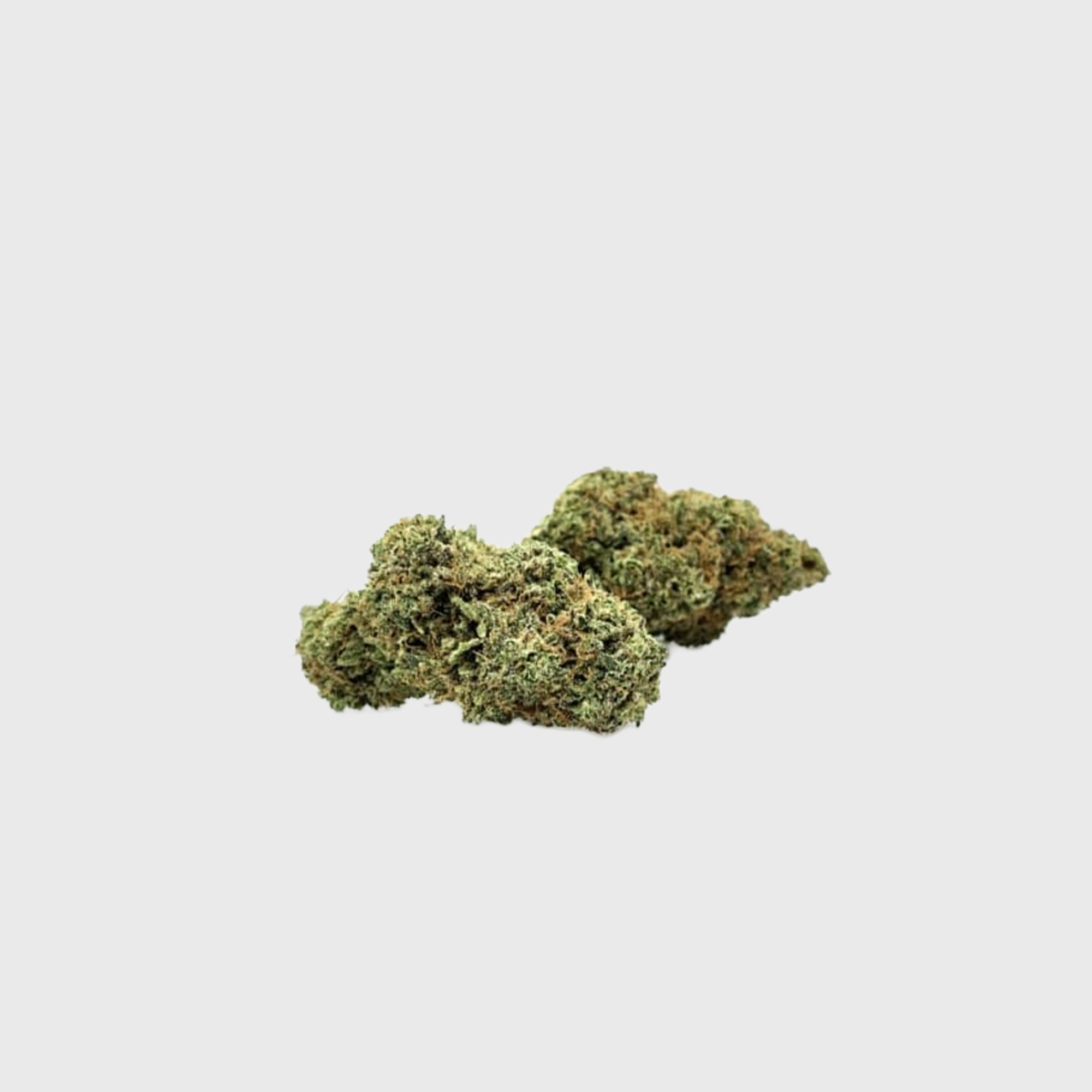 Amnesia lux indoor Thca